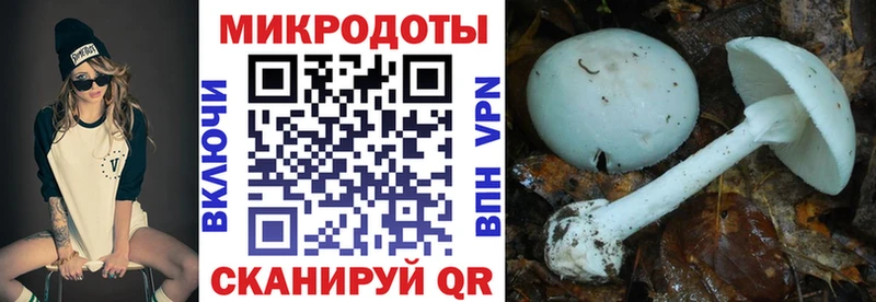 Купить закладки  Старая Купавна  Псилоцибиновые грибы MAGIC MUSHROOMS 